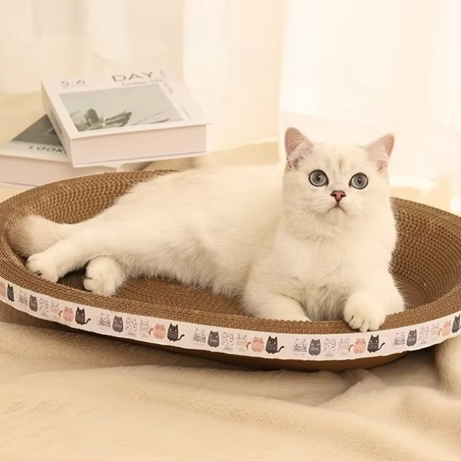 Cat Scratching Board