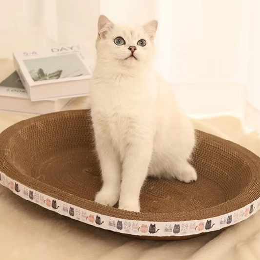 Cat Scratching Board