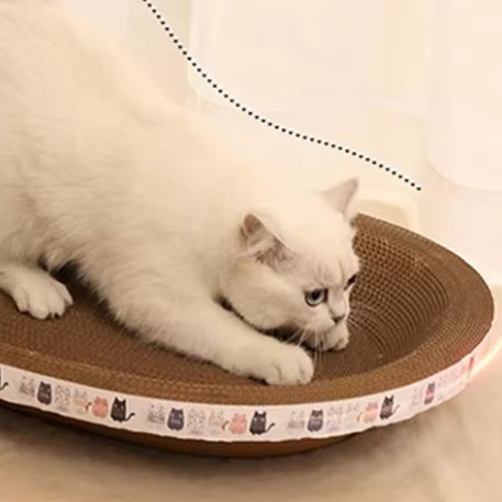 Cat Scratching Board