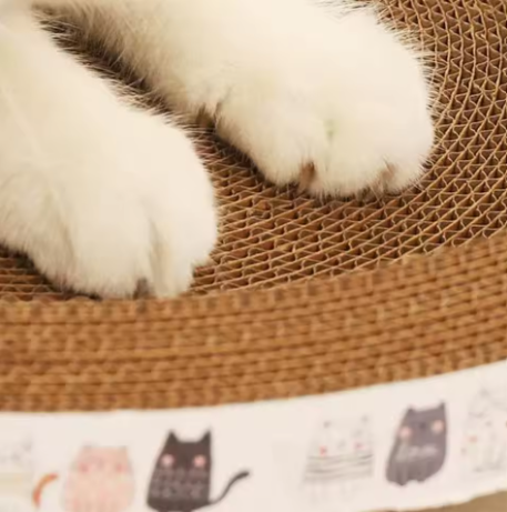 Cat Scratching Board