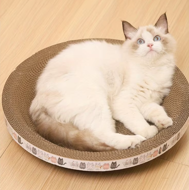Cat Scratching Board