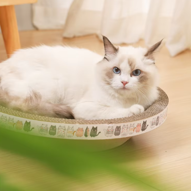 Cat Scratching Board